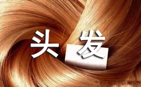 �^�l(f��)��׃��С�W(xu��)����