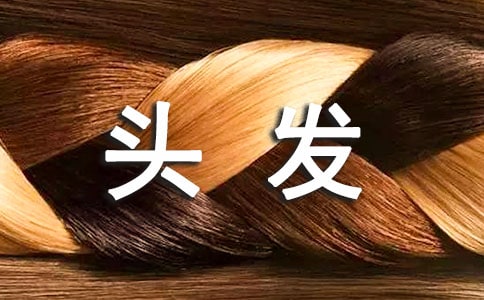 我幫奶奶洗頭發優秀作文650字