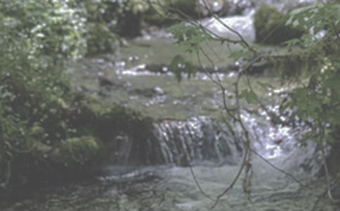 ��СϪ���ĸ衷�x���