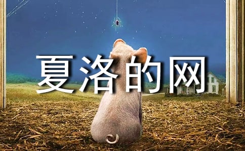 讀《夏洛的網》有感范例【15篇】