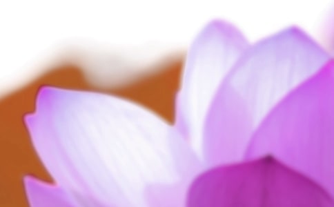 �茑��������������