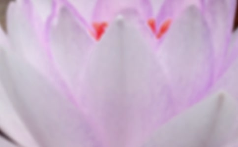 《夏至》閱讀答案