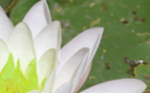 �P����������x�Ĵ�