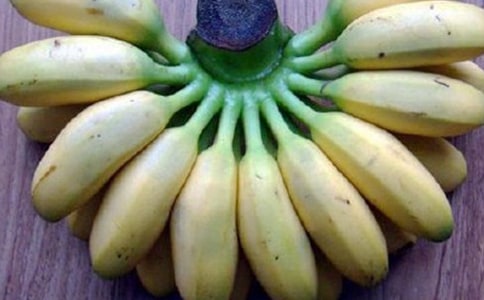 СΛρ���㽶����3ƪ����(y��u)�x��