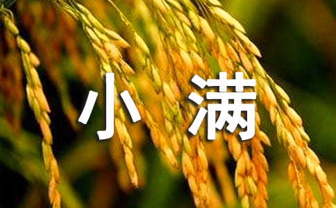 �P��С�M���V�Z