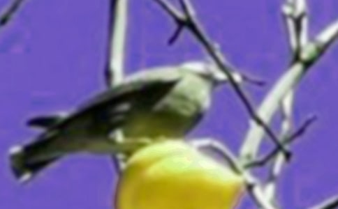 С�B���¼�����