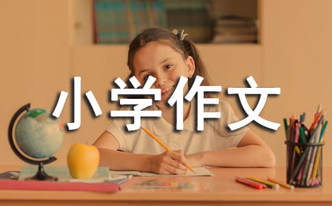 ����С�W(xu��)����300��