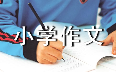 ���ĵ���С�W(xu��)����