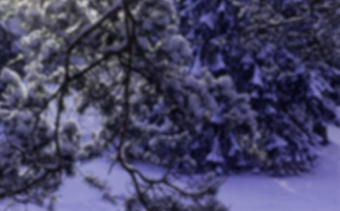 關于小雪節氣的諺語和民謠有哪些