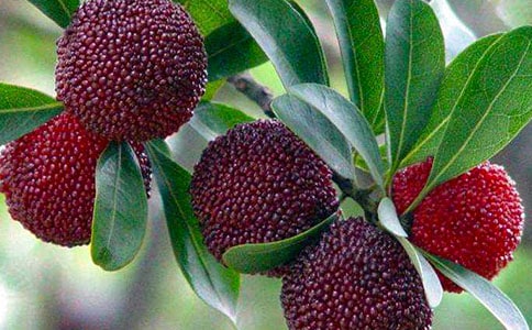 �Ґۼ��l�ė�÷���ģ����x45ƪ��