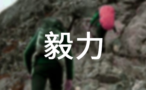 ������(chu��ng)���x�͔�������