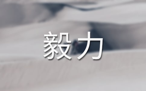 毅力初二優秀作文范文(精選40篇)