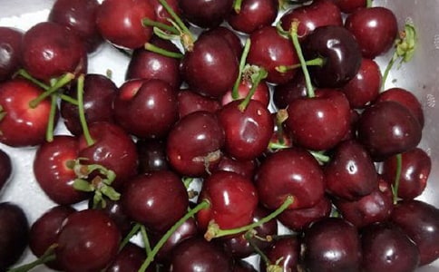 �u���ҵ�����������