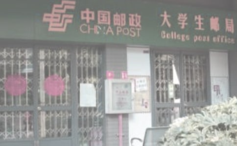 大班區域活動小郵局教案