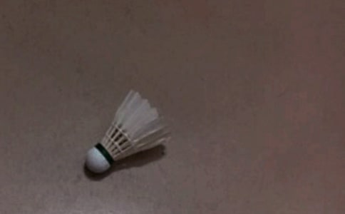 ����ë��������