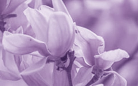 �Ґ����m������