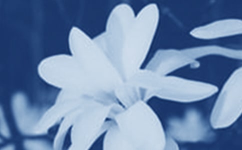 �����m����ӛ������x���⼰��