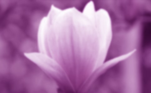 �P�����������m������
