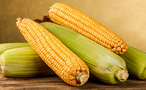 �W�������ׄڄ��ĵ��w�������x16ƪ��