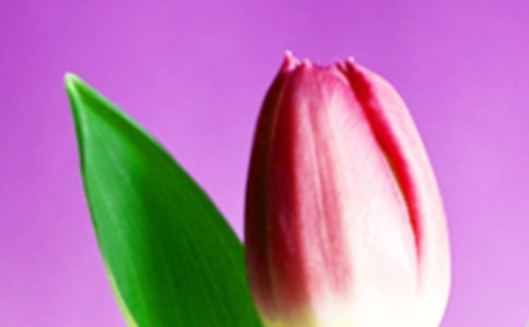 ������������С�W(xu��)����