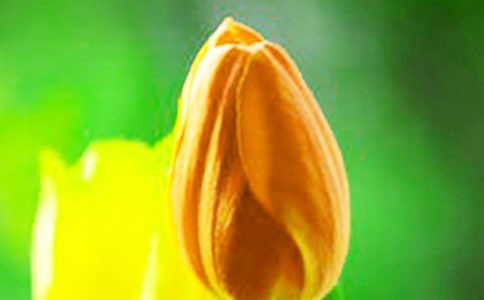 ��ͯ�ֹ��ۼ��������.�۷��D��