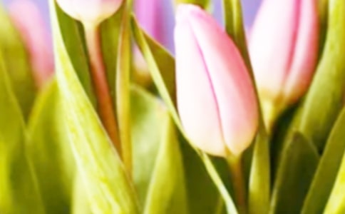 ���l(xi��ng)������������