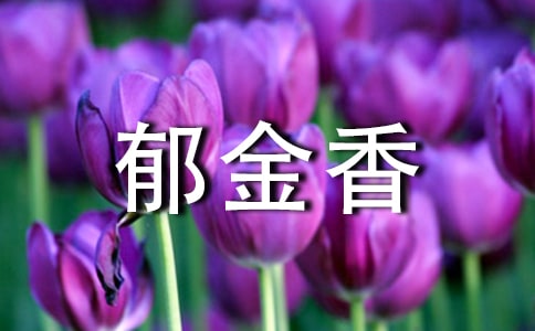 美麗的郁金香作文(通用27篇)
