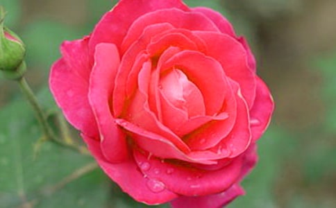 �Ҽҵ��¼�������15ƪ