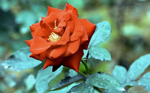 �Ҽҵ��¼�������
