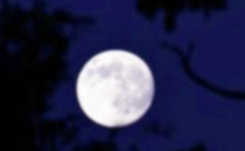 �A�ˈA���ģ����x38ƪ��