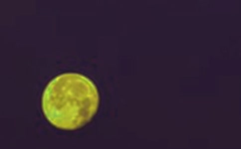 �A�ˈF�A���ģ�ͨ��27ƪ��