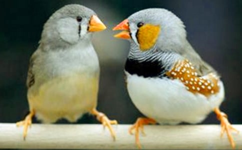 �P(gu��n)�������B������