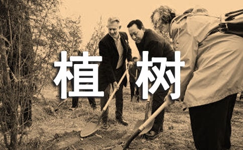 С�����W���}ֲ�䆖�}����