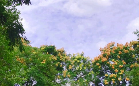 �옷��������