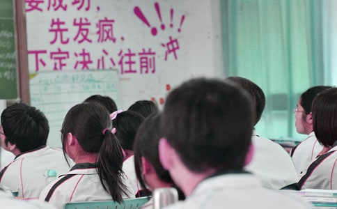 中學生游記作文:游善洲林場