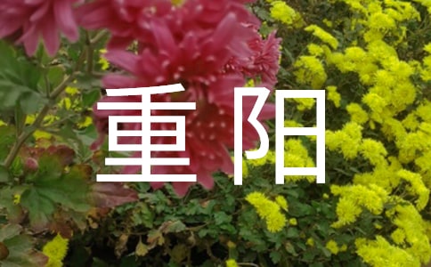 �Ҟ������^�������850��