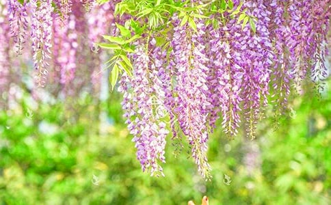 ���ٻ�����4ƪ[����]