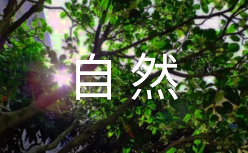 實用的寫的大自然的作文合集五篇
