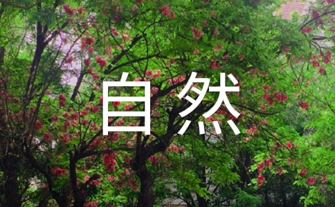 �茑��Ȼ���^����(����)