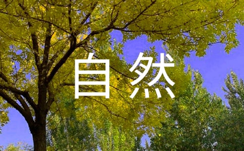 ���ܴ���Ȼ���ģ����x3ƪ��
