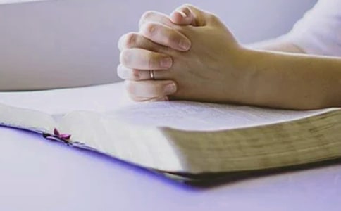 �ɿ����Y800������
