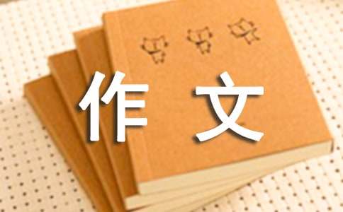 (精選)掃雪作文