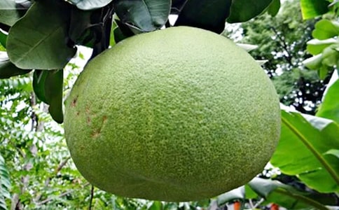 �Ҽҵ����Ә�400������