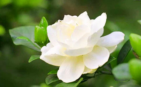 һ��d�ӻ���x���⼰������