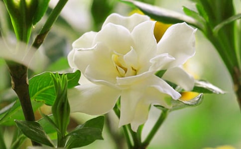 �P(gu��n)�ڗd�ӻ�����