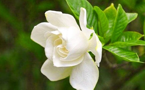 �d�ӻ���(y��u)������1200��