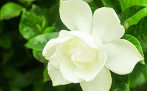 �P(gu��n)�ڗd�ӻ�����10ƪ
