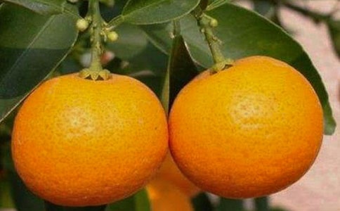������ζ�����졷�x���[��(y��u)�x14ƪ]