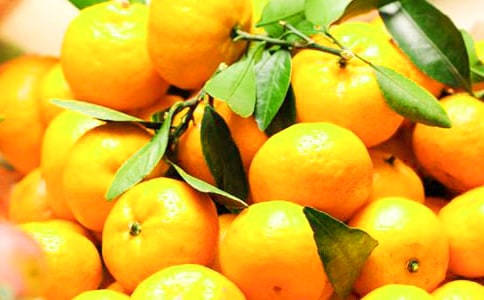 ���P(gu��n)��������