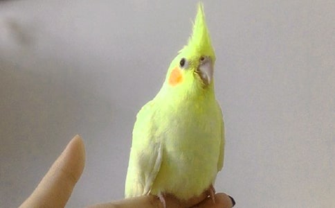 �ҵ�С�W�^����